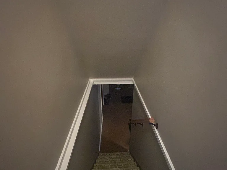 Steps down to basement