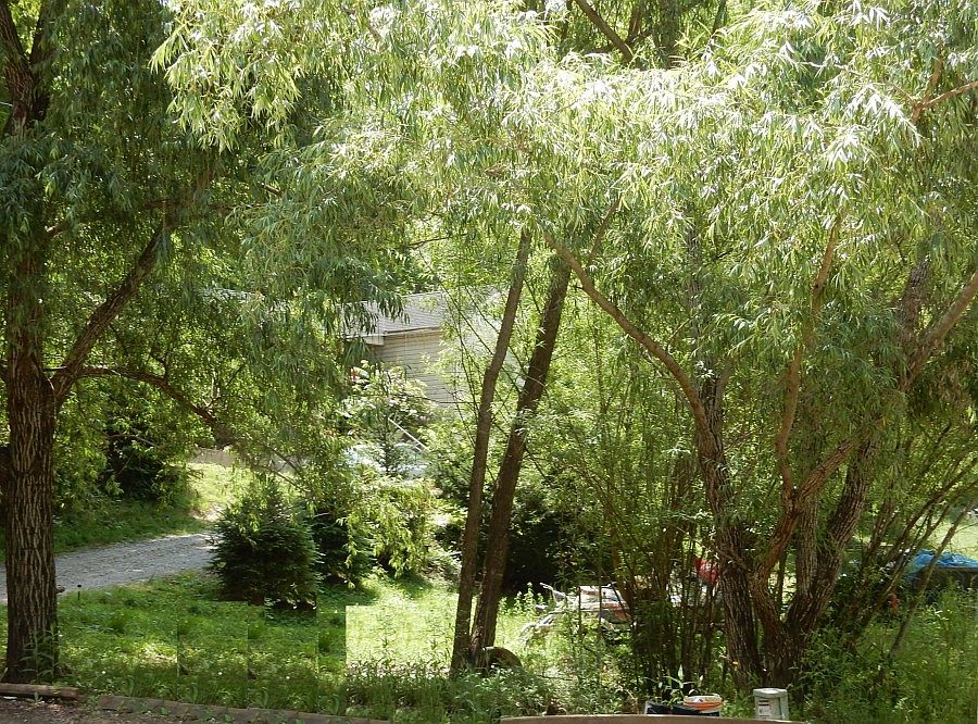 2nd image of 15 June Sayles Rd