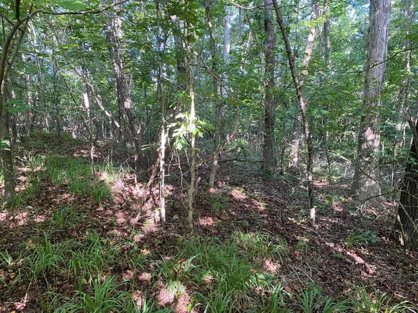 Country Woods Dr Lot 1, Selmer, TN 38375