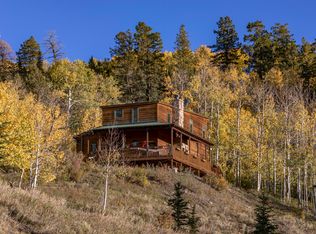 675 Wilson Mesa Ranch Cir, Placerville, CO 81430