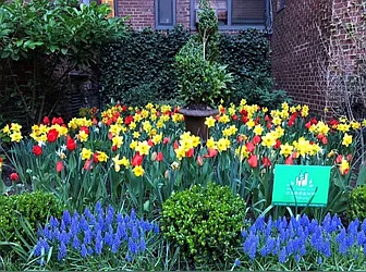 Other photos thumbnail