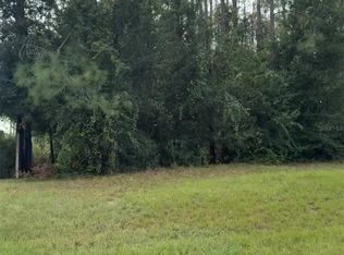 Lake Smith Rd #11, Umatilla, FL 32784