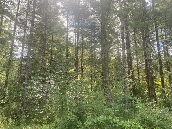 0 NE Rotschy Mill Rd, Yacolt, WA 98675