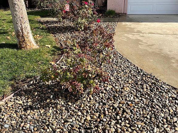 Front yard view with lovely rose bushes
