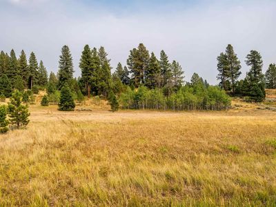 4 Joshua Dr, Cascade, ID, 83611