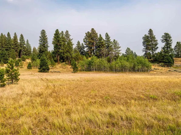4 Joshua Dr, Cascade, ID 83611