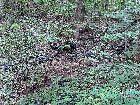 5th image of 0 Johnson Rd