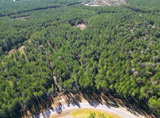 16235 Golden Wood Ct LOT 25, Willis, TX 77378