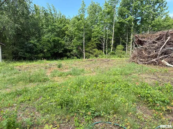 7227 Pickle City Rd, Benton, IL 62812