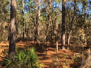 5295 Nodoc Rd, Spring Hill, FL 34609