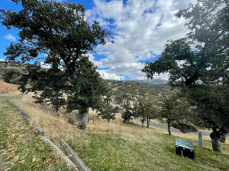 2103 Little Applegate Rd — Photo 4