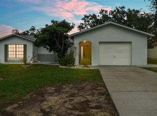 11391 Terrell Rd, Spring Hill, FL 34608