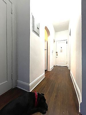 4th image of 337 E 88th St APT 5B