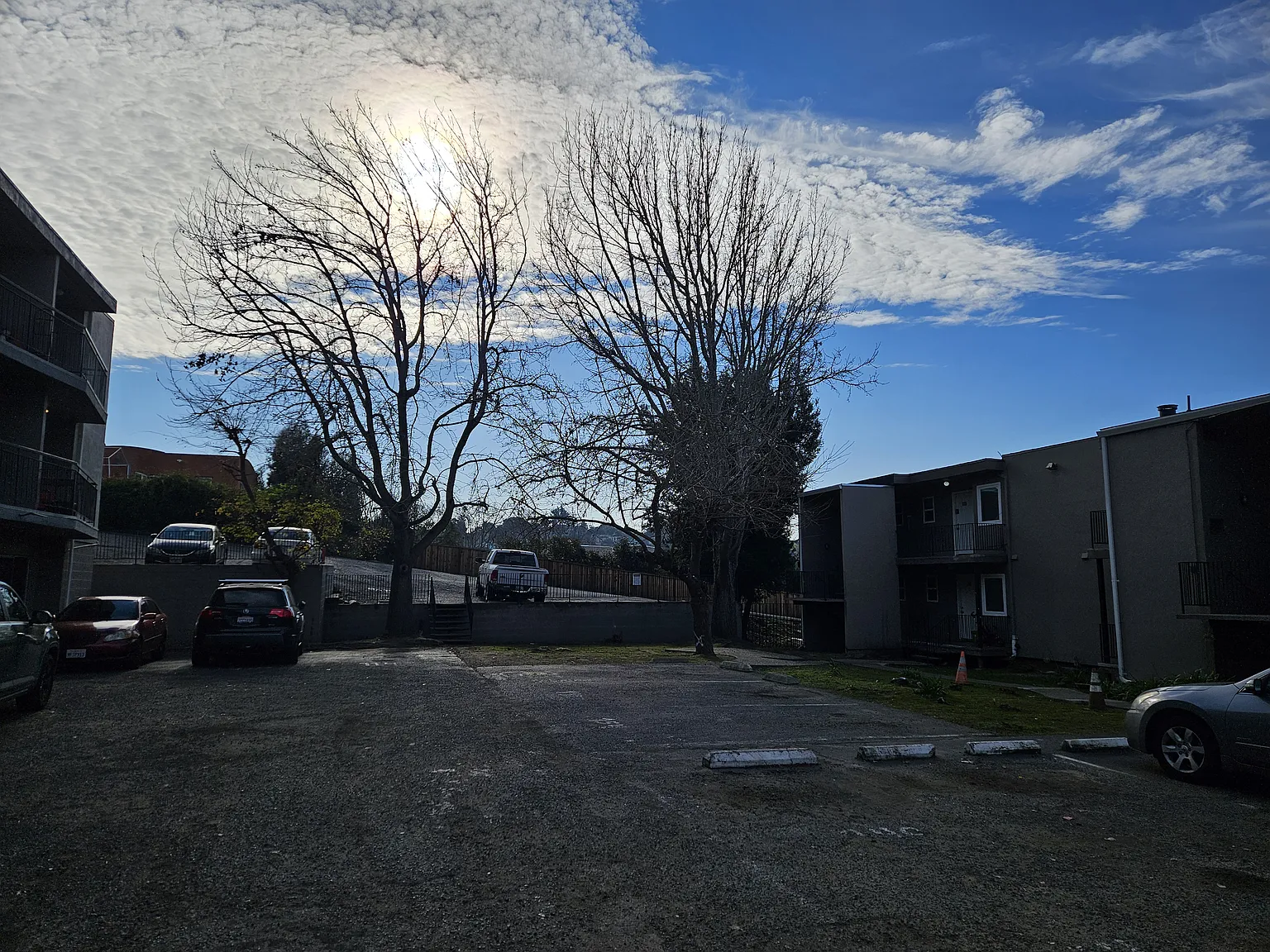 1 bed, 600 sqft, $1,750 — Photo 3