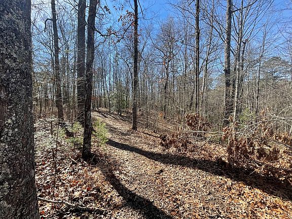 5th image of 197 Terrapin Dr