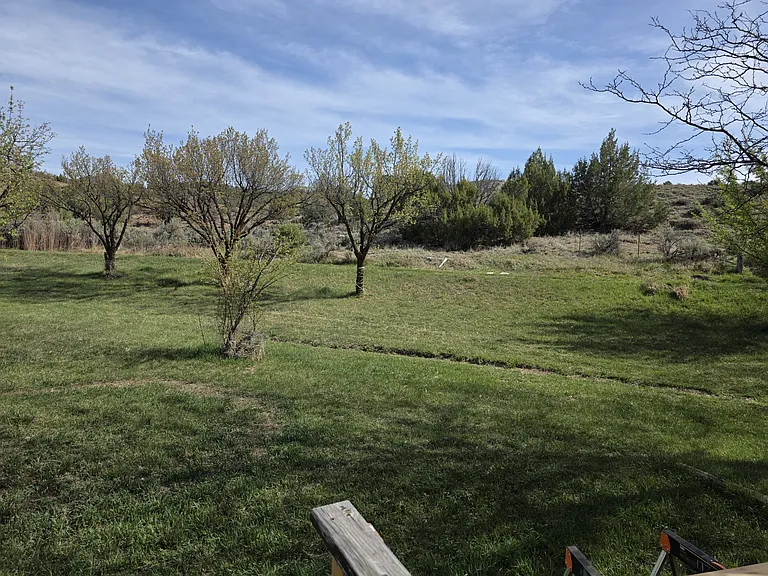 3465 County Road 214 — Photo 7