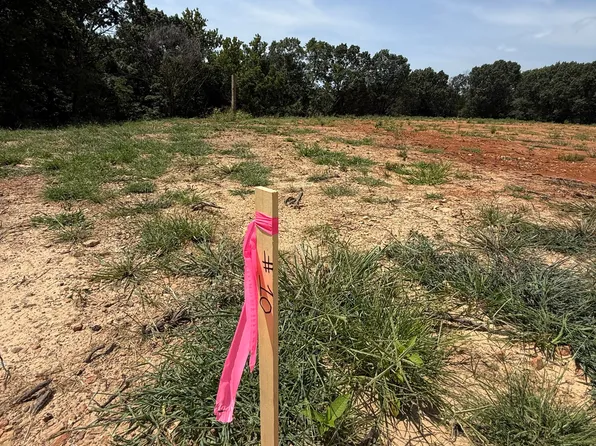 Lot 10 Little Street, Seligman, MO 65745
