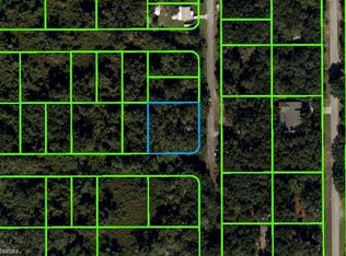 302 Marshall Ave, Lake Placid, FL 33852