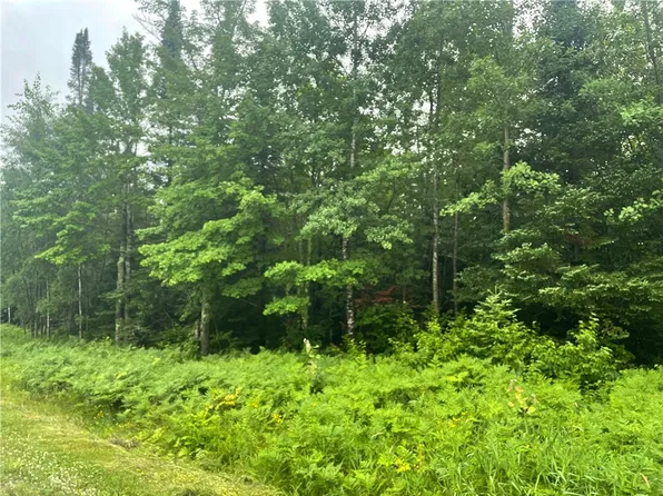 40 Acres Corner of Cty N and Mackenberg Rd, Glidden, WI 54527