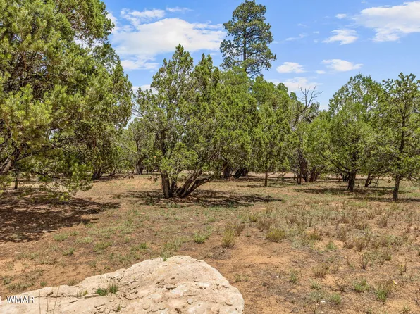 2112 Forest Park Dr, Overgaard, AZ 85933