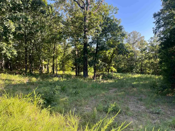 11 Talon Ln, Edgemont, AR 72044