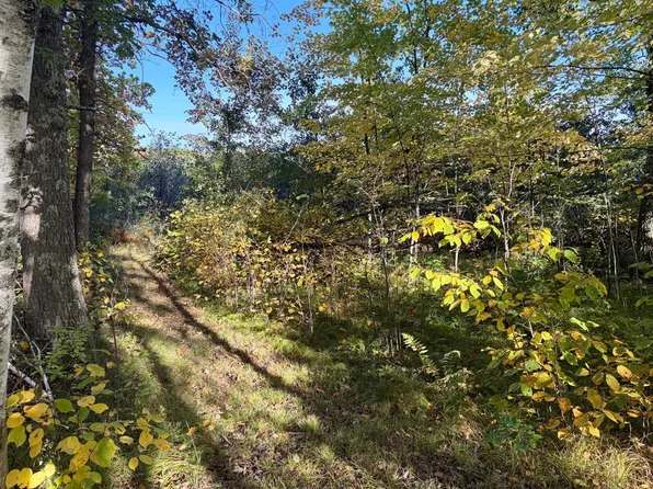 248th Pl, McGregor, MN 55760