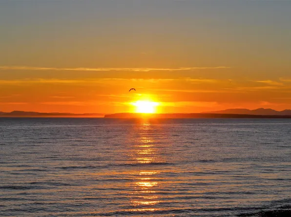 12631 15th Ave, Surrey, BC V4A 1K1