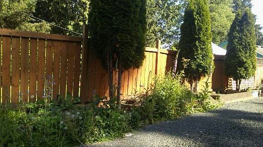 Four raised garden beds with privacy fencing.