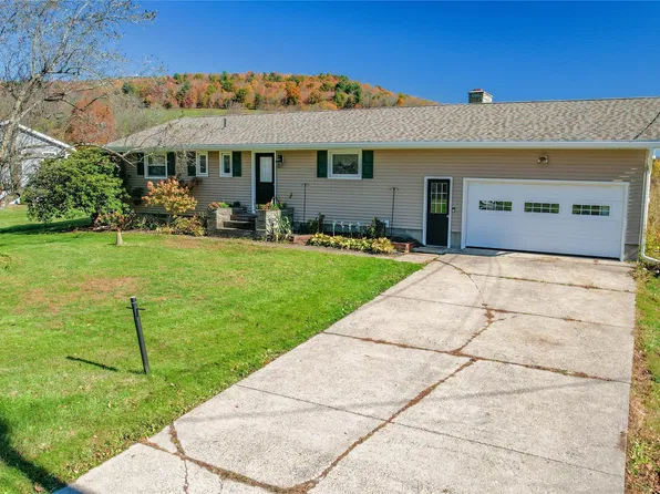 132 Dingman Hill Rd, Bainbridge, NY 13733