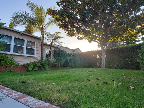 Expansive front yard foliage