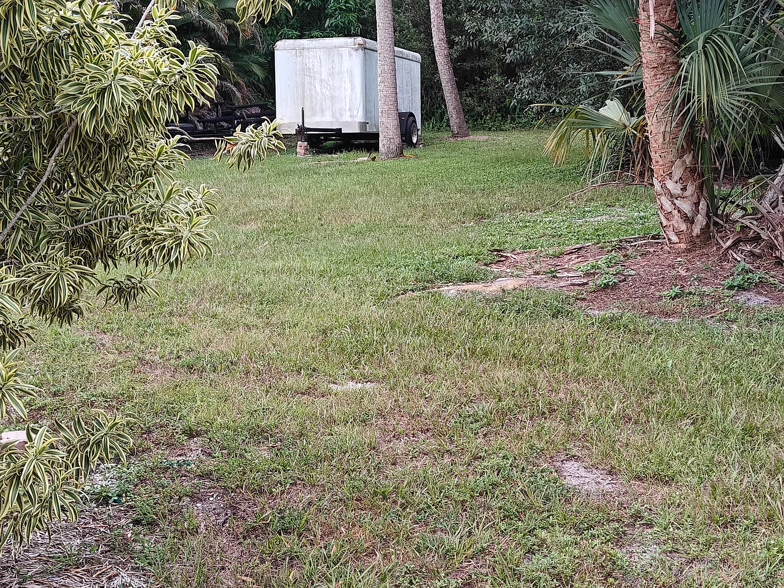1 bed, 550 sqft, $1,095 — Photo 3