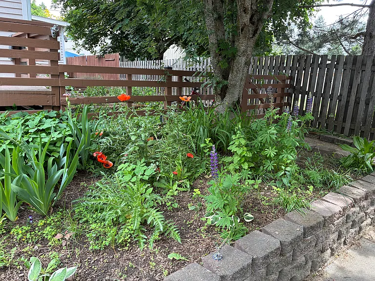 320 N 15th St — Photo 37