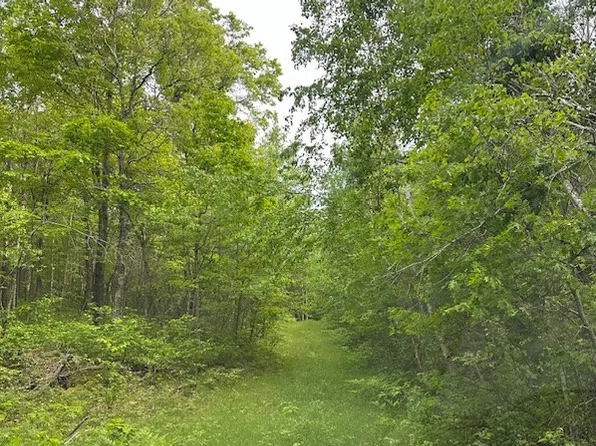 0 Summers Point Lane, Hayward, WI 54843