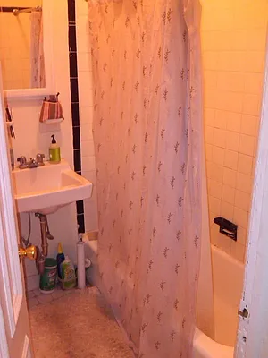 Rented by Alta Real Estate | media 44