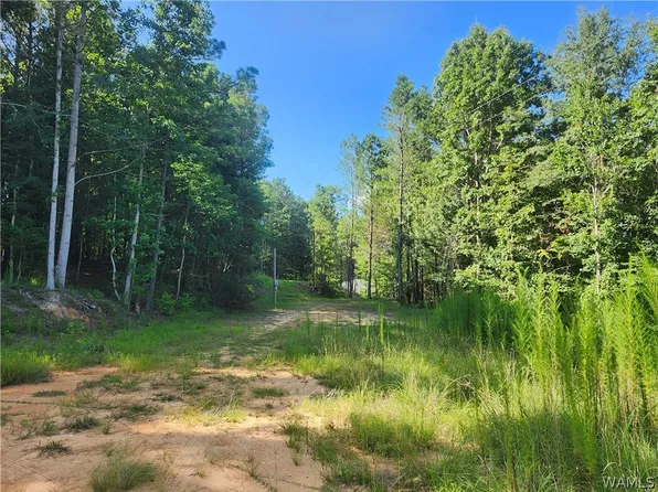 20100 Mormon Rd, Berry, AL 35546