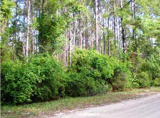 0 Reston Dr, Wewahitchka, FL 32465