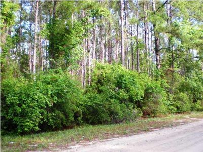 0 Reston Dr, Wewahitchka, FL, 32465