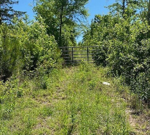 2nd image of 1730 N Walkers Mill Rd