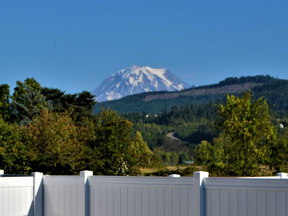 View from my backyard