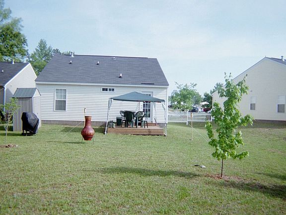 Back yard
