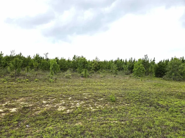 NW Telogia Creek Ests W, Bristol, FL 32321