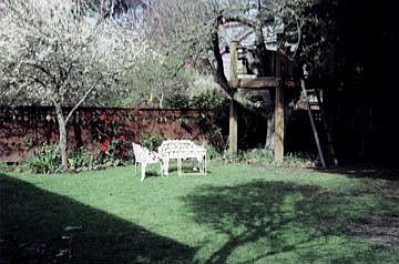 Spacious Back Yard