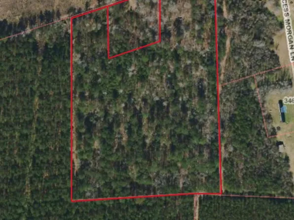 11.5 Acres Ernest Valeria Lane, Willard, NC 28478