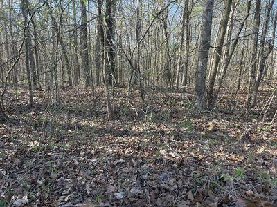 0 Ginger Ct Lot 1, Dover, TN, 37058