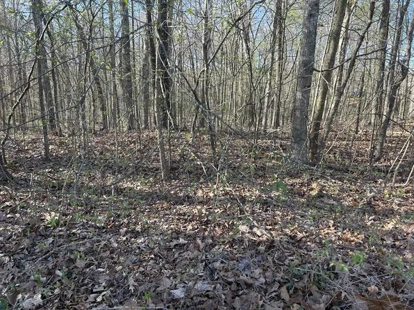 0 Ginger Ct Lot 1, Dover, TN 37058