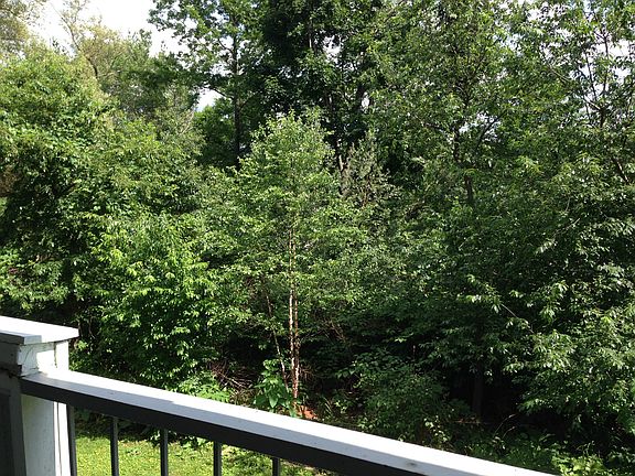 3rd image of 229 Coolidge Ave APT 305