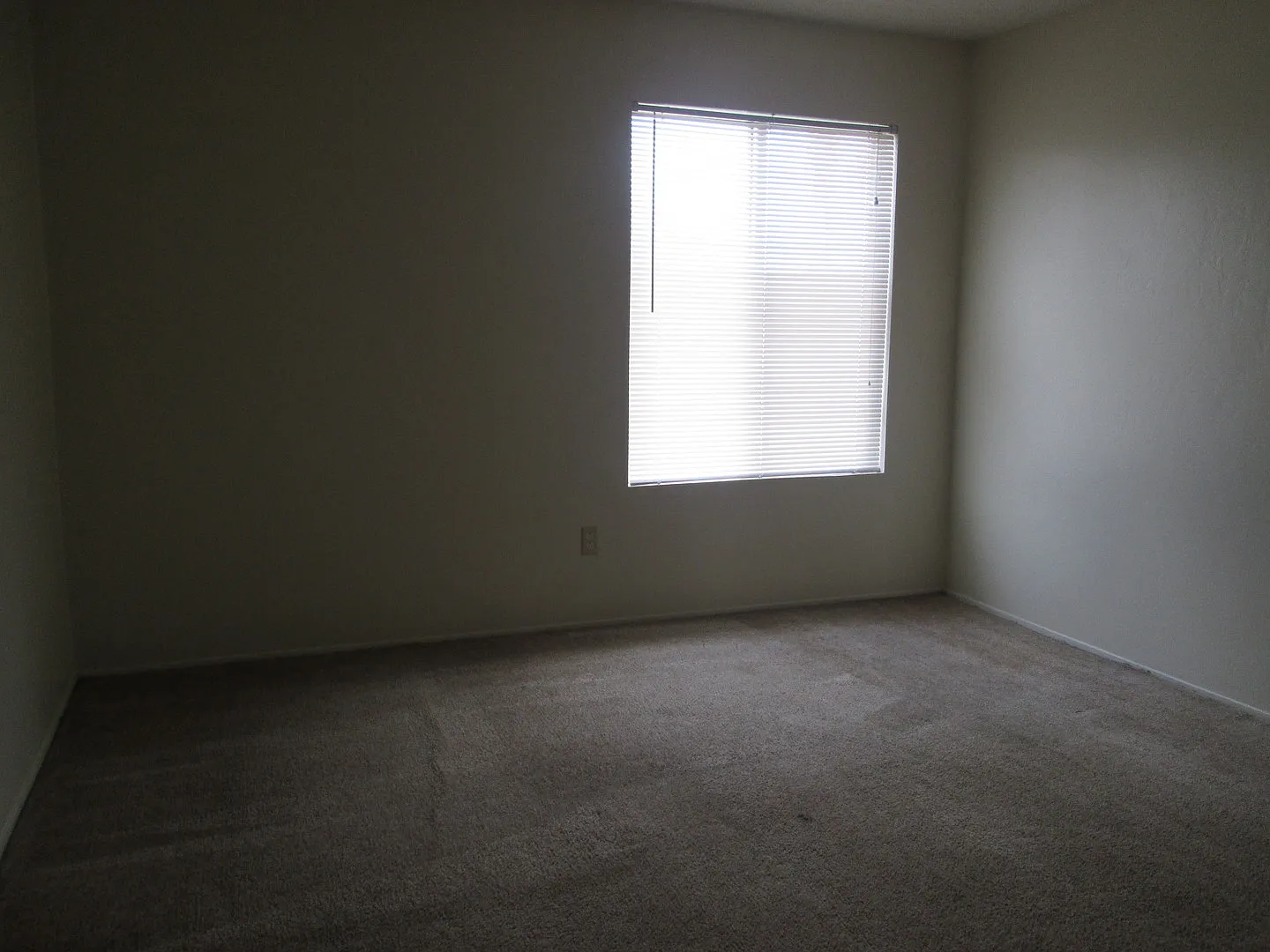AS2516 — Photo 4