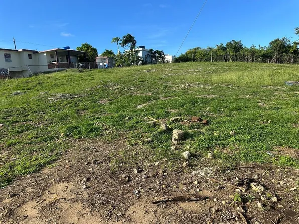Solar 5 Calle, Camuy, PR 00627