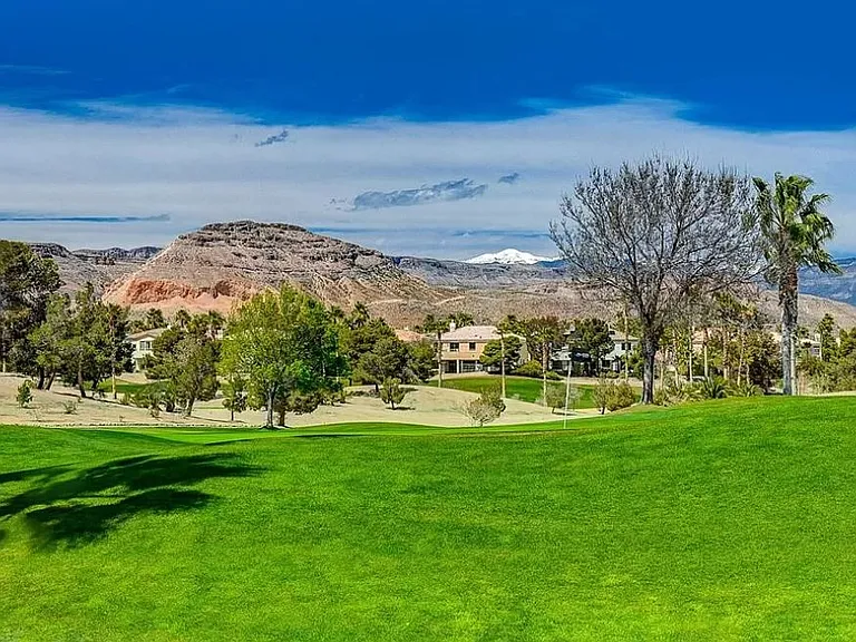 282 Caddy Bag Ct — Photo 47