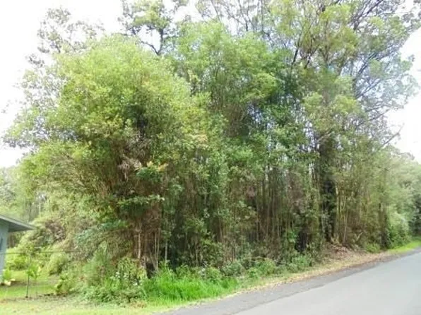 Ihope Rd, Mountain View, HI 96771